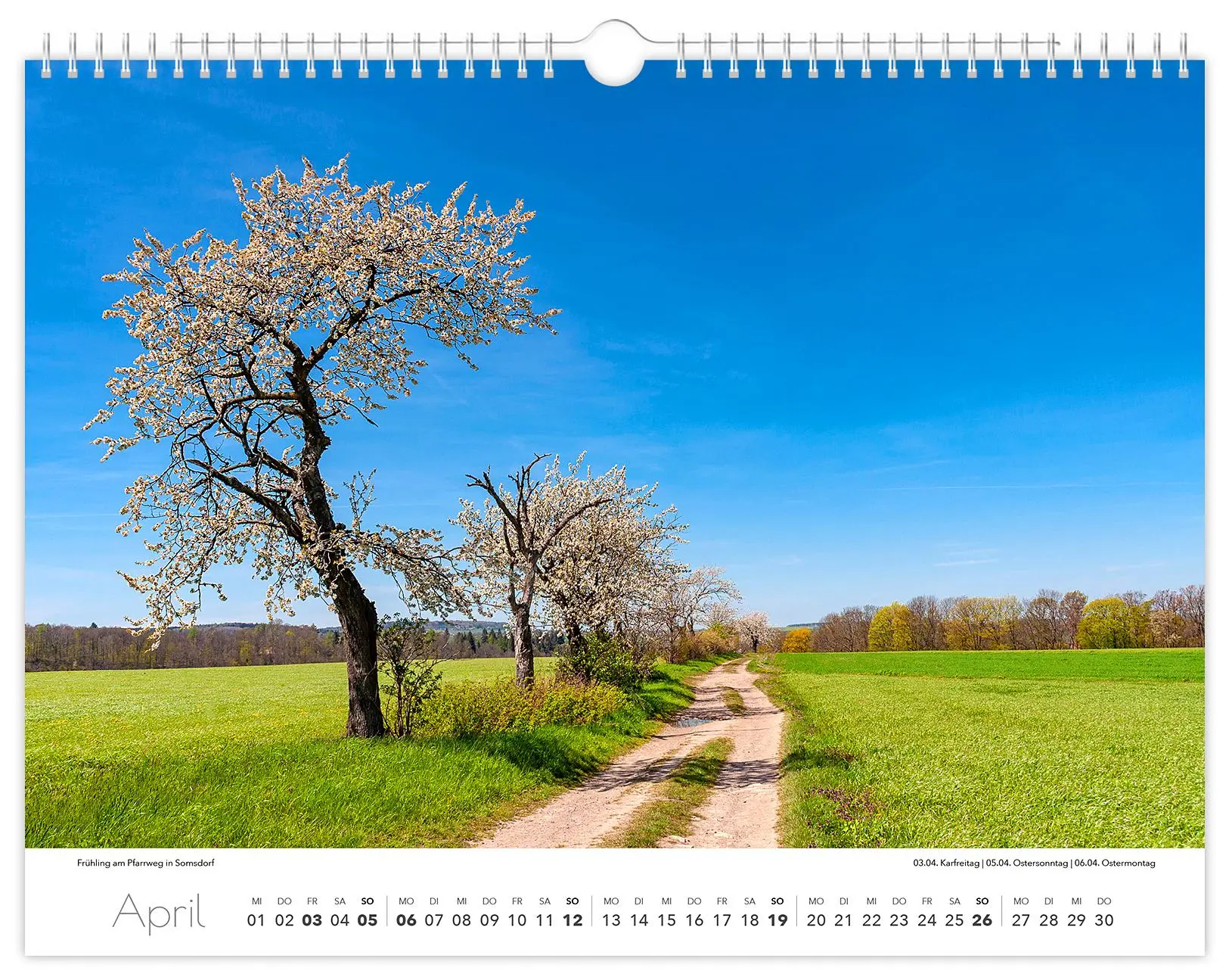 Bild: 9783910680241 | Kalender Tharandt und Umgebung 2026 | 40 x 30 cm weißes Kalendarium