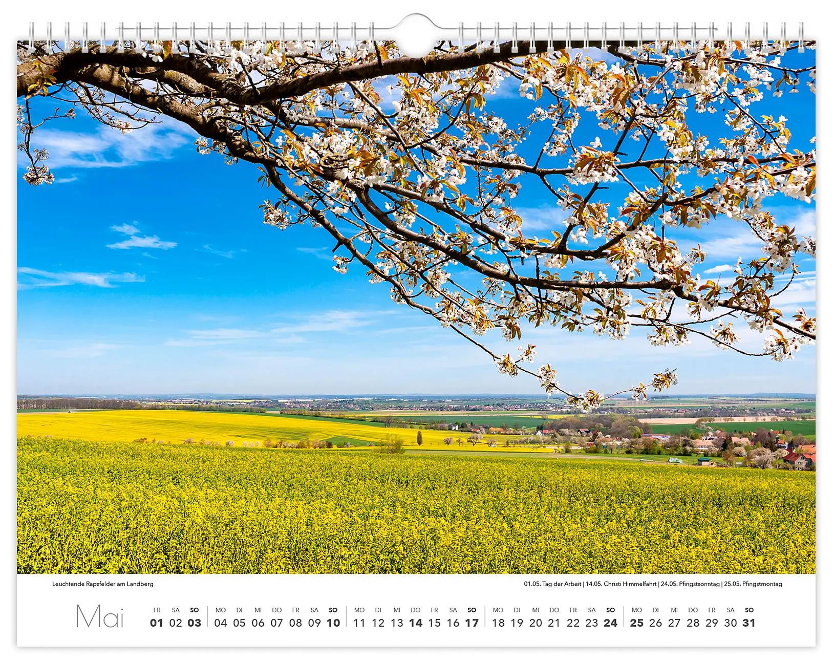 Bild: 9783910680241 | Kalender Tharandt und Umgebung 2026 | 40 x 30 cm weißes Kalendarium