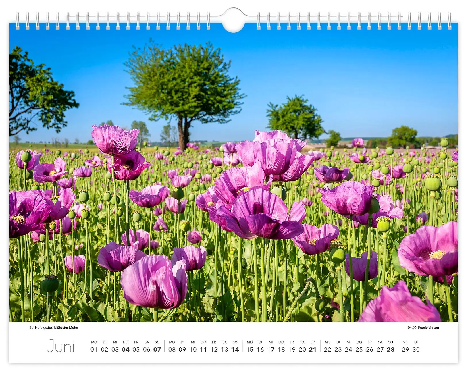 Bild: 9783910680241 | Kalender Tharandt und Umgebung 2026 | 40 x 30 cm weißes Kalendarium
