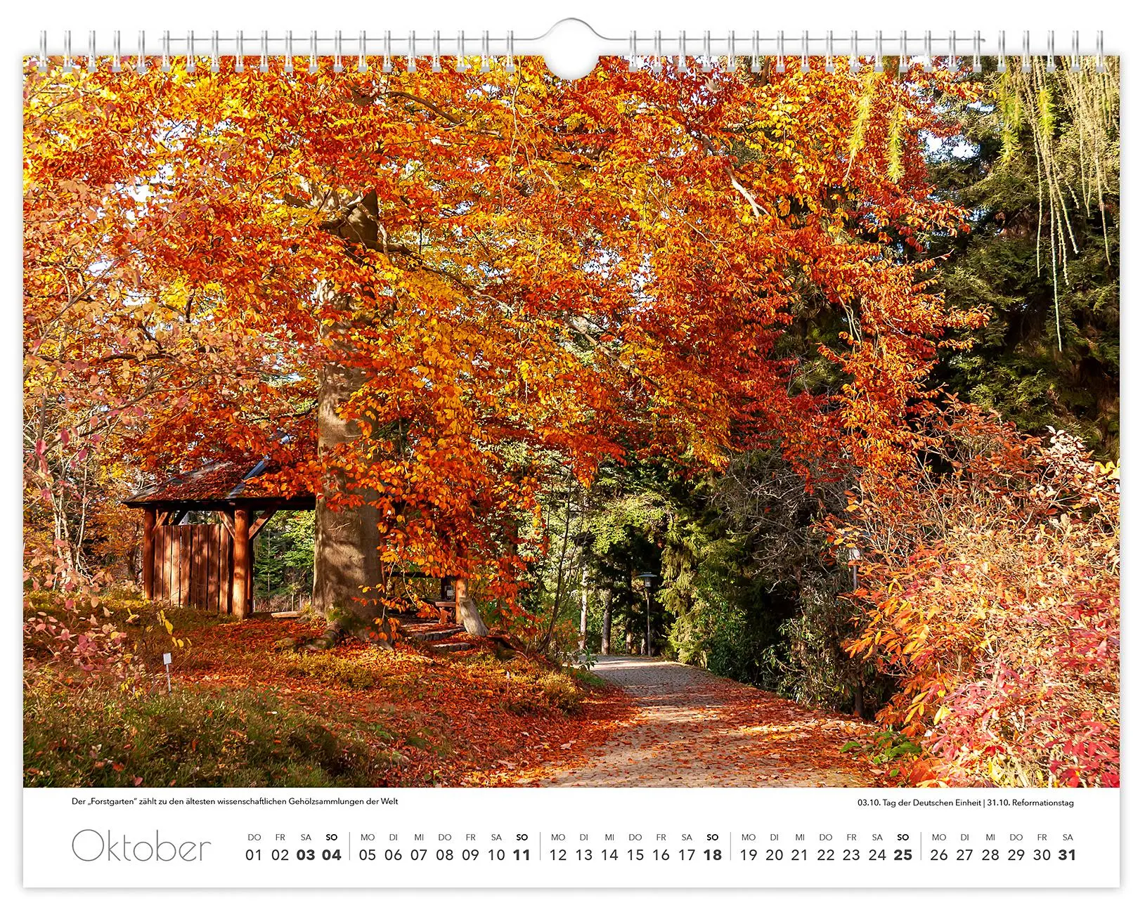 Bild: 9783910680241 | Kalender Tharandt und Umgebung 2026 | 40 x 30 cm weißes Kalendarium