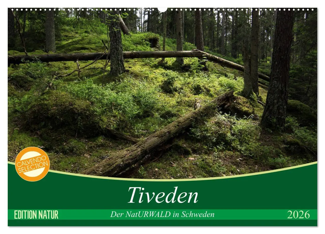 Cover: 9783457940341 | Tiveden, der NatURWALD in Schweden (Wandkalender 2026 DIN A2 quer),...