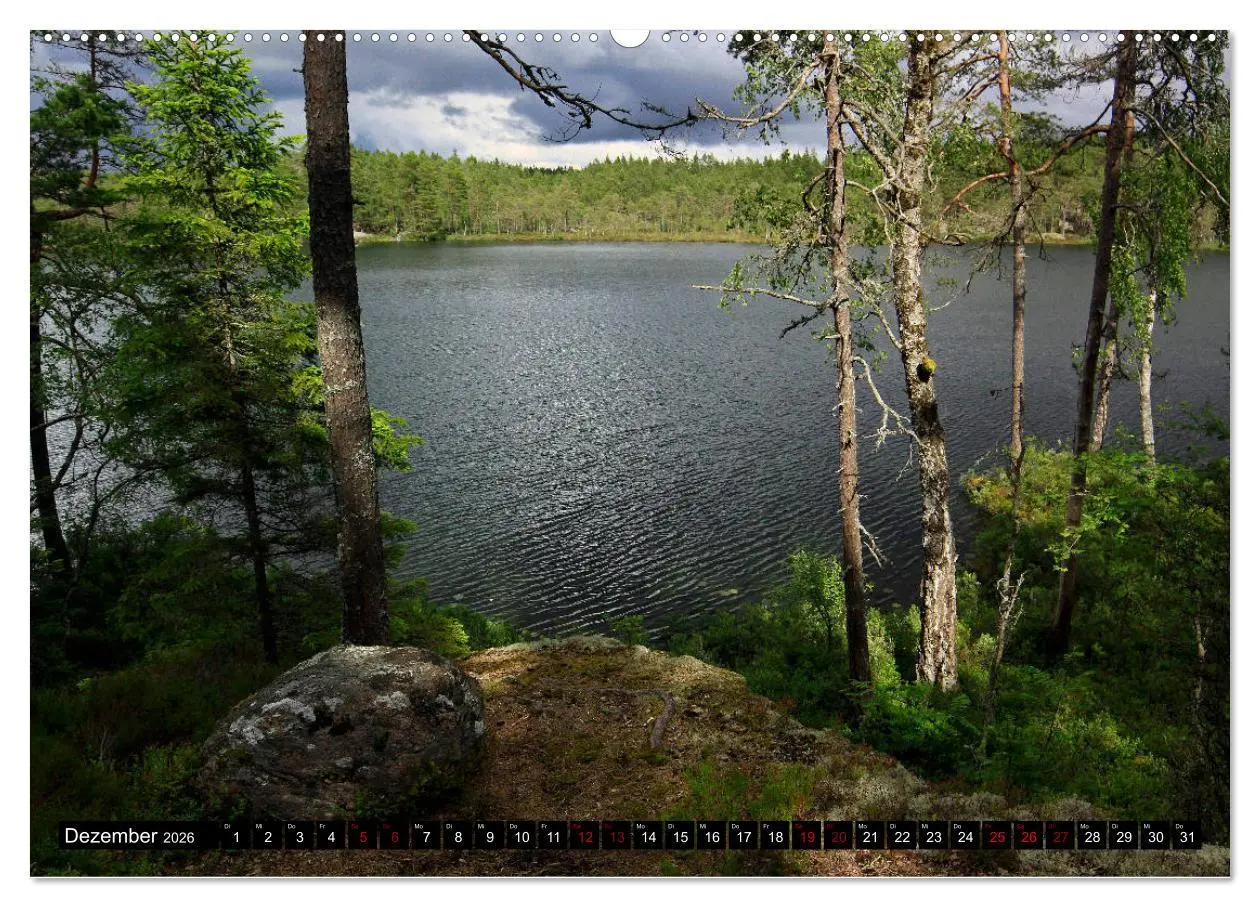 Bild: 9783457940341 | Tiveden, der NatURWALD in Schweden (Wandkalender 2026 DIN A2 quer),...