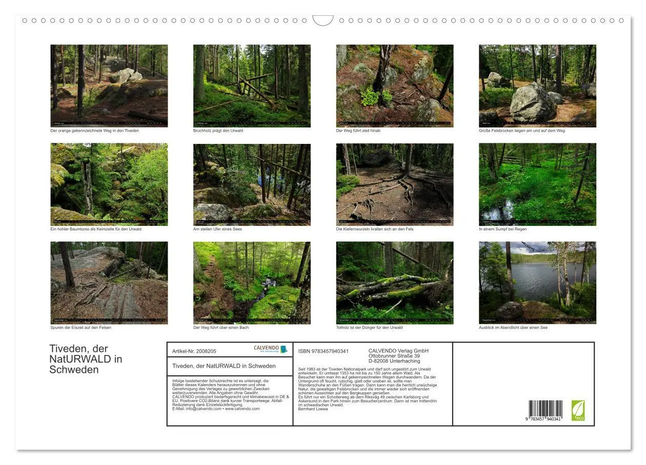 Bild: 9783457940341 | Tiveden, der NatURWALD in Schweden (Wandkalender 2026 DIN A2 quer),...