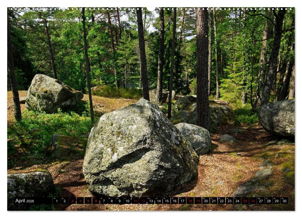 Bild: 9783457940341 | Tiveden, der NatURWALD in Schweden (Wandkalender 2026 DIN A2 quer),...