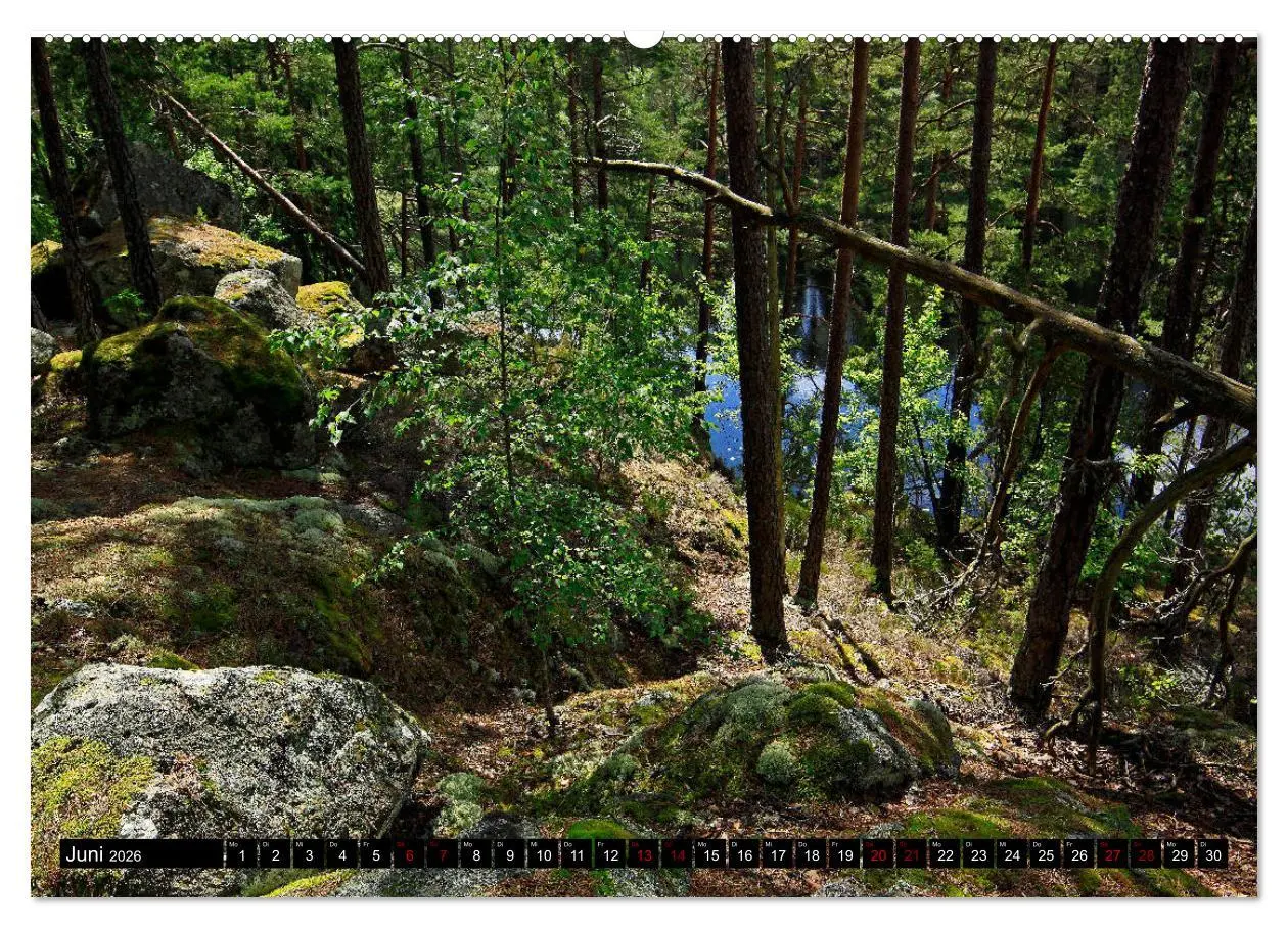 Bild: 9783457940341 | Tiveden, der NatURWALD in Schweden (Wandkalender 2026 DIN A2 quer),...