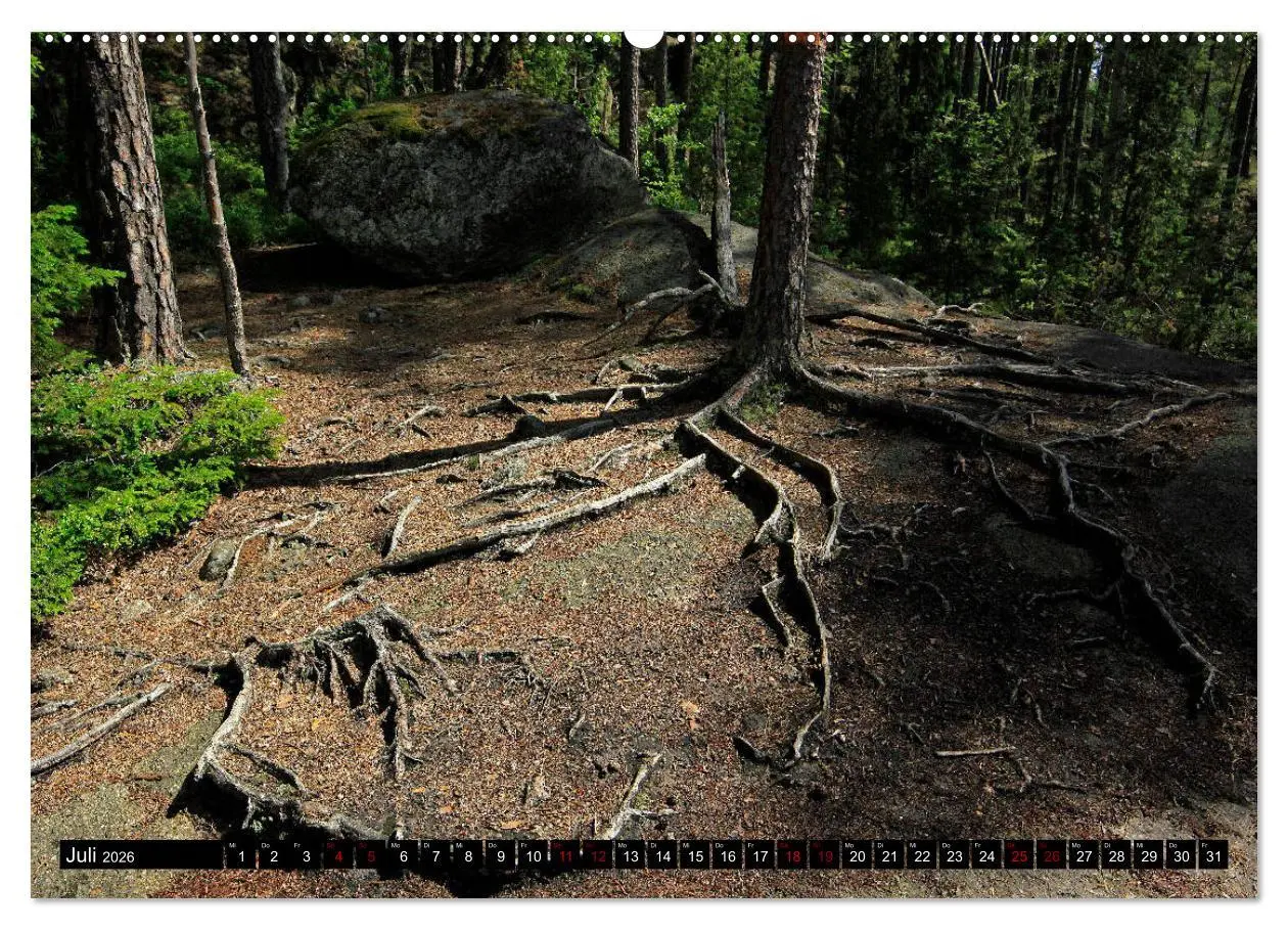 Bild: 9783457940341 | Tiveden, der NatURWALD in Schweden (Wandkalender 2026 DIN A2 quer),...