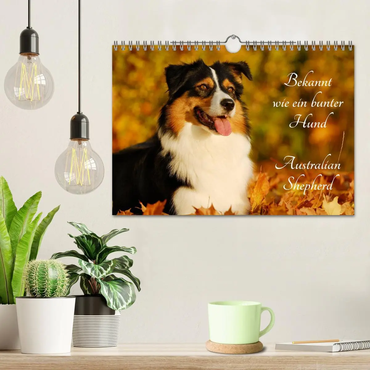 Bild: 9783516030341 | Bekannt wie ein bunter Hund. Australian Shepherd (Wandkalender 2026...