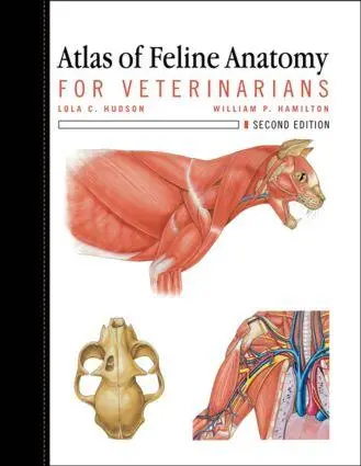 Cover: 9781591610441 | Atlas of Feline Anatomy for Veterinarians | Lola Hudson (u. a.) | Buch