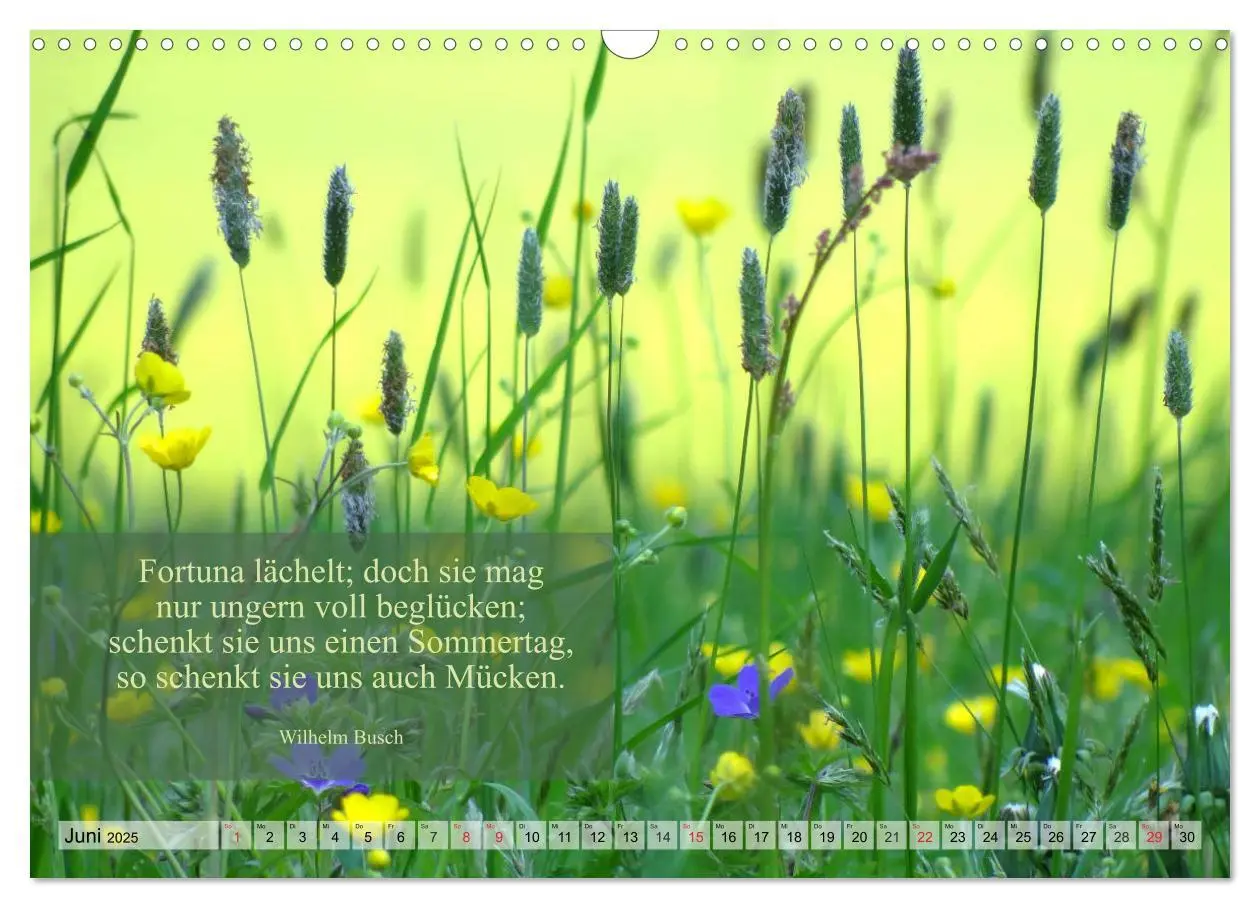 Bild: 9783435840441 | Weises (Wandkalender 2025 DIN A3 quer), CALVENDO Monatskalender | 2025