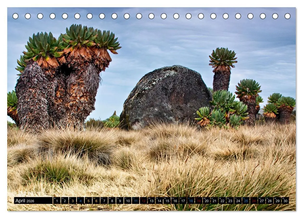 Bild: 9783457480441 | Kilimanjaro - das Dach Afrikas (Tischkalender 2026 DIN A5 quer),...