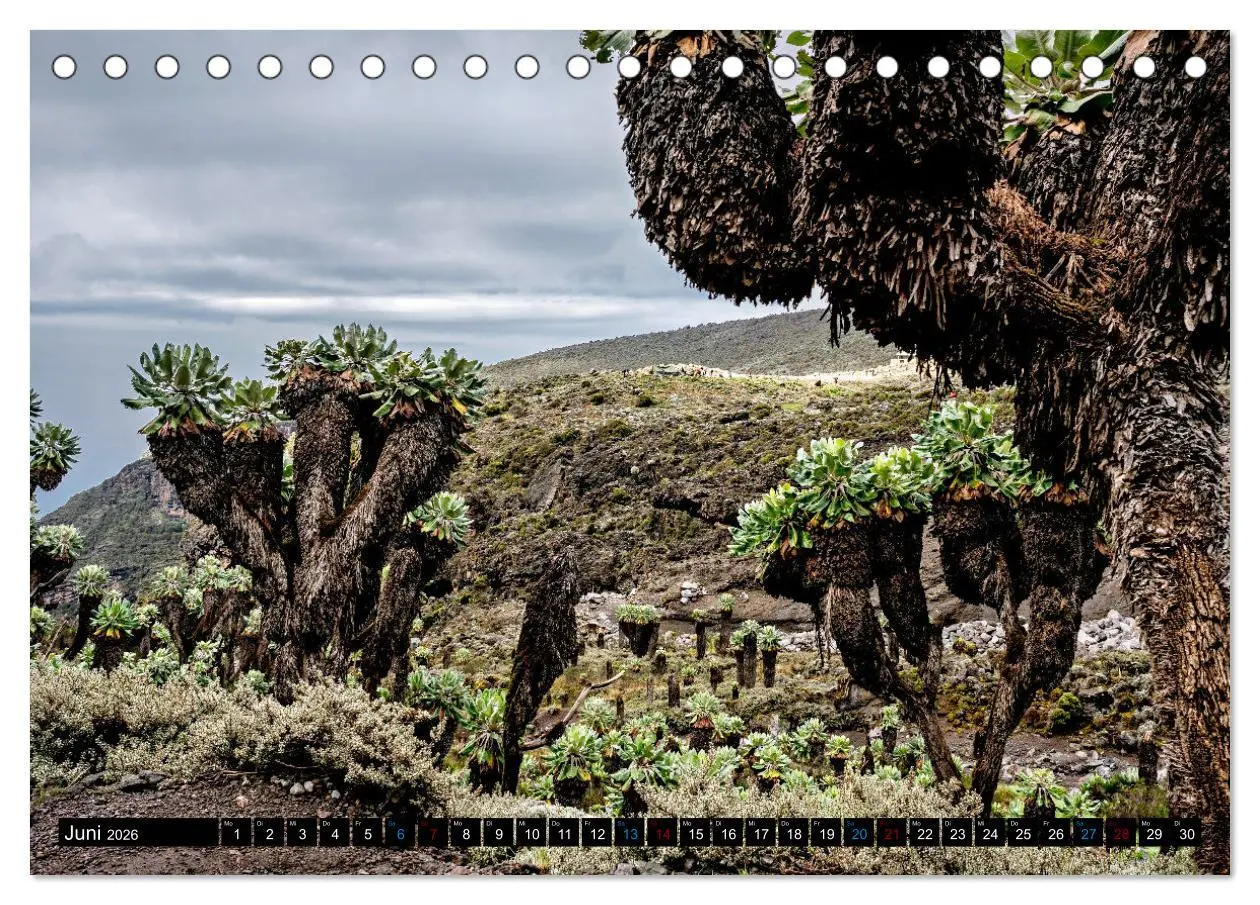 Bild: 9783457480441 | Kilimanjaro - das Dach Afrikas (Tischkalender 2026 DIN A5 quer),...