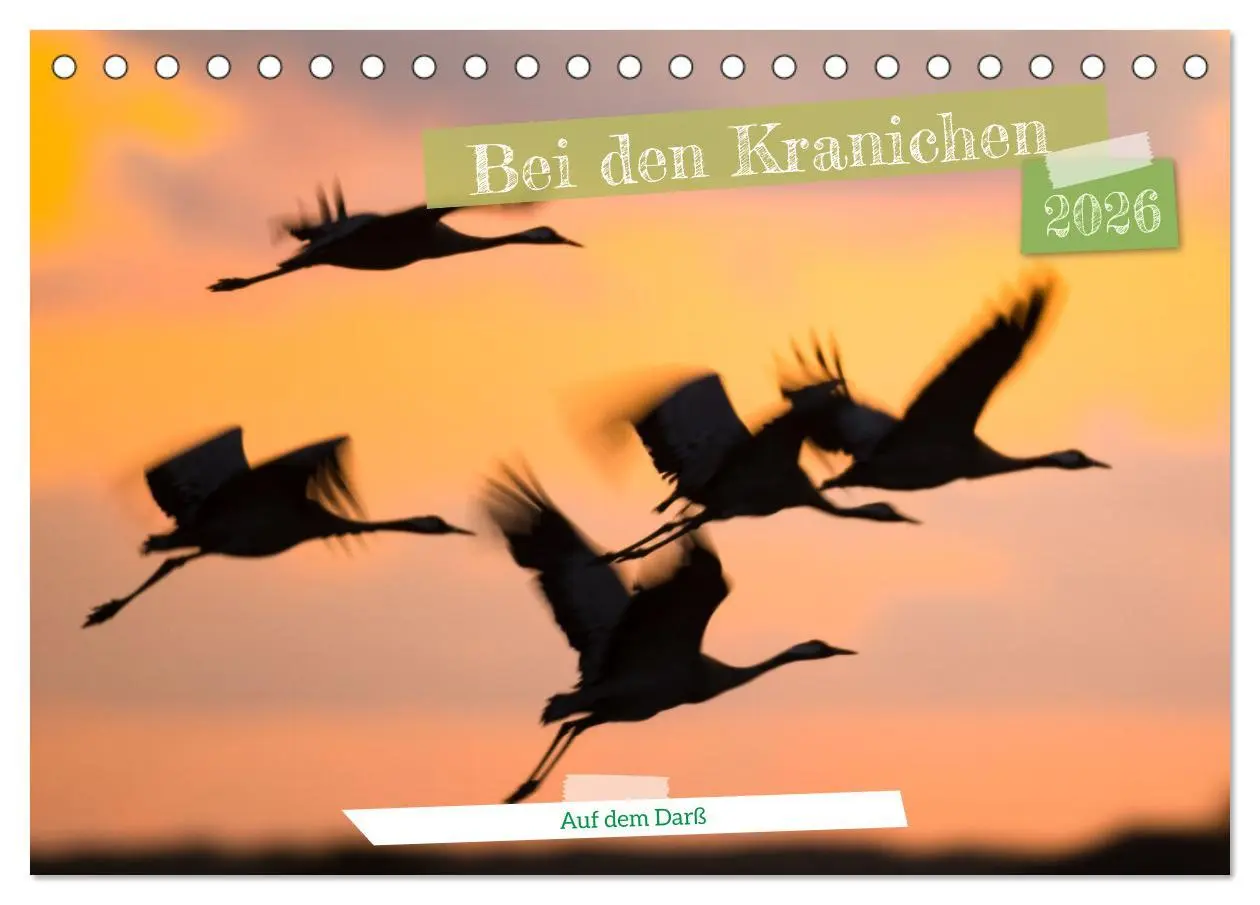 Cover: 9783457550441 | Bei den Kranichen (Tischkalender 2026 DIN A5 quer), CALVENDO...