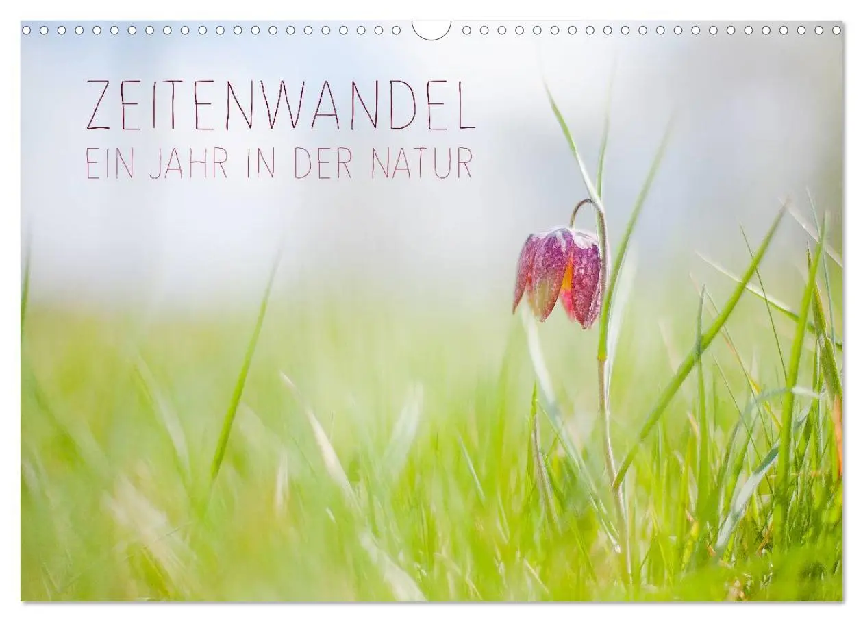 Cover: 9783516020441 | Zeitenwandel - Ein Jahr in der Natur (Wandkalender 2026 DIN A3...