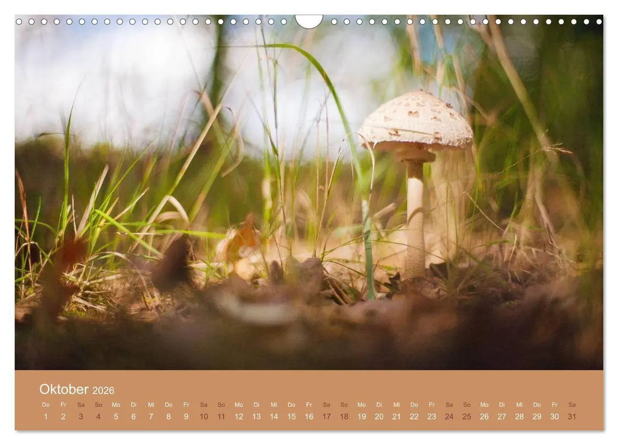Bild: 9783516020441 | Zeitenwandel - Ein Jahr in der Natur (Wandkalender 2026 DIN A3...