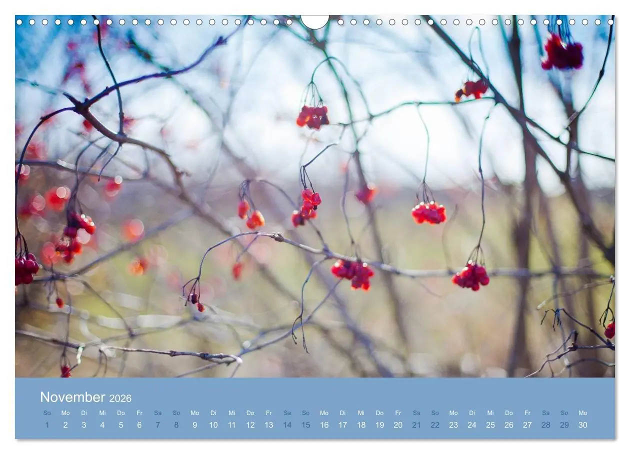 Bild: 9783516020441 | Zeitenwandel - Ein Jahr in der Natur (Wandkalender 2026 DIN A3...