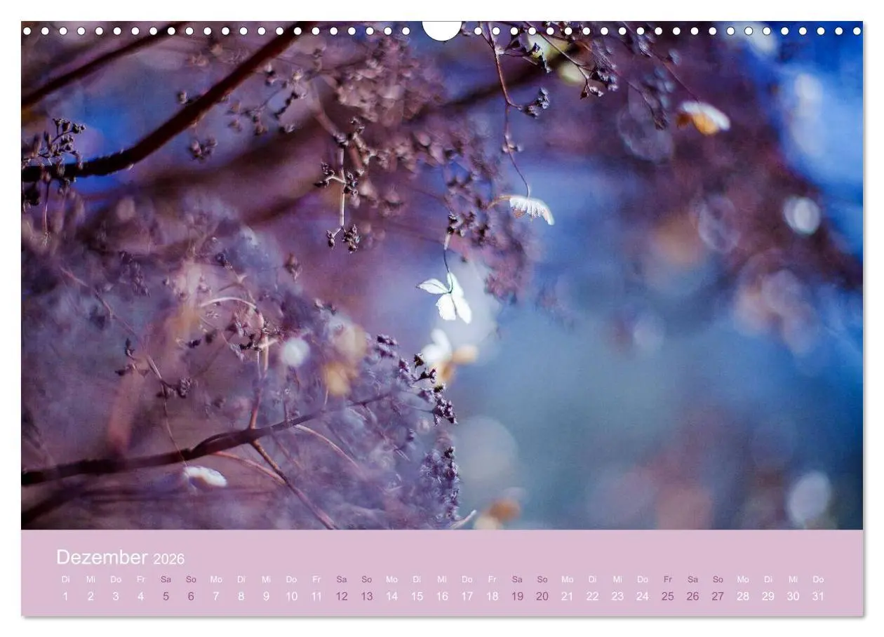 Bild: 9783516020441 | Zeitenwandel - Ein Jahr in der Natur (Wandkalender 2026 DIN A3...
