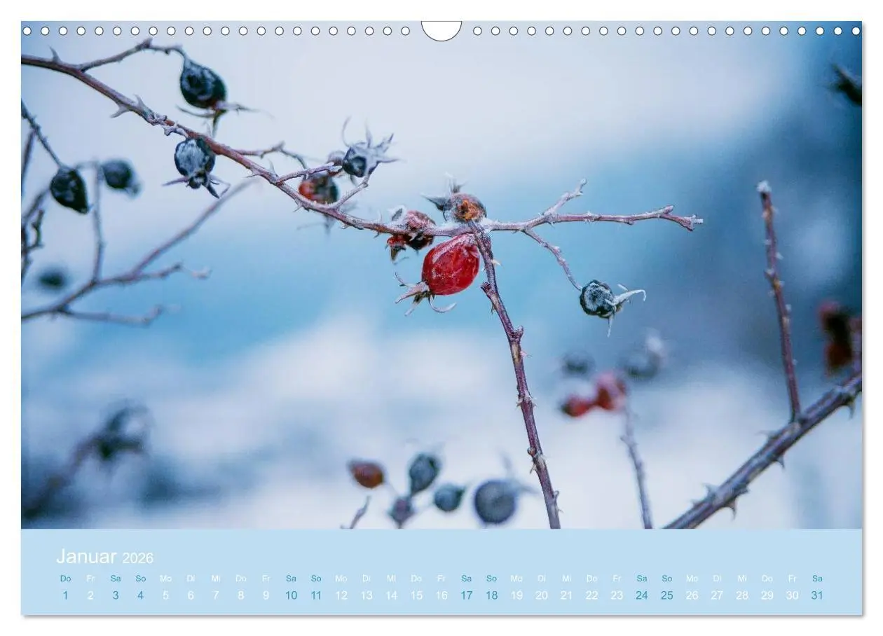 Bild: 9783516020441 | Zeitenwandel - Ein Jahr in der Natur (Wandkalender 2026 DIN A3...