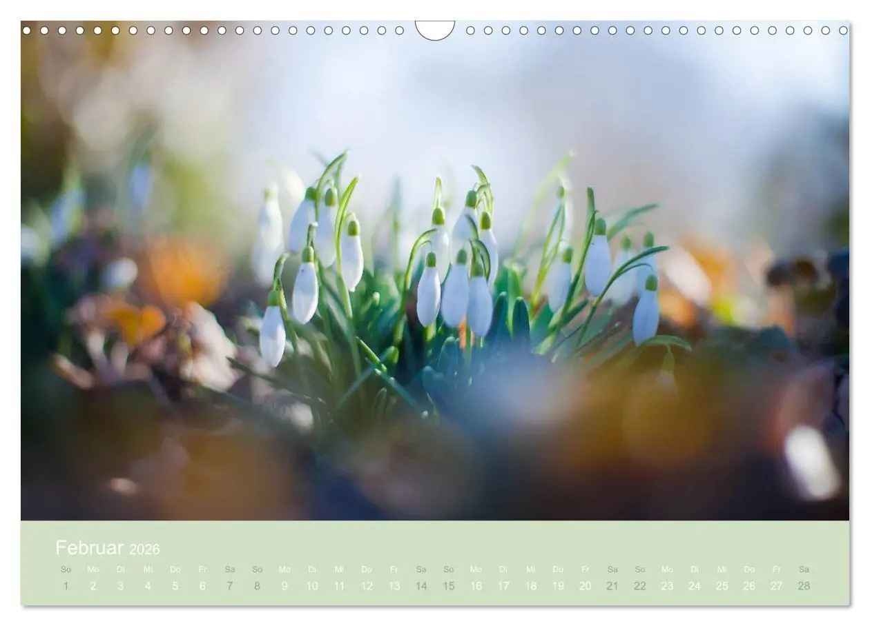 Bild: 9783516020441 | Zeitenwandel - Ein Jahr in der Natur (Wandkalender 2026 DIN A3...
