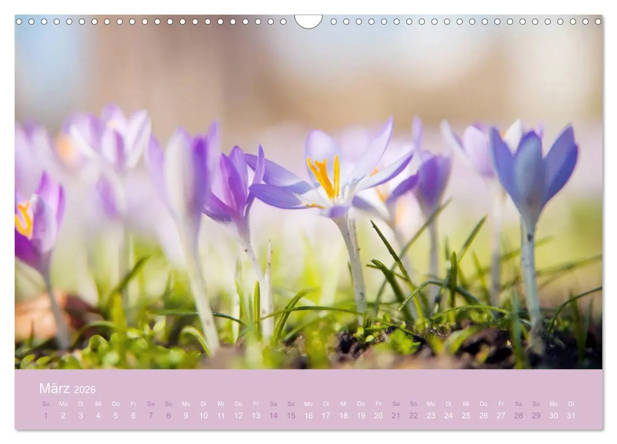 Bild: 9783516020441 | Zeitenwandel - Ein Jahr in der Natur (Wandkalender 2026 DIN A3...