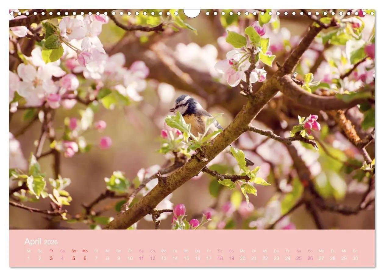 Bild: 9783516020441 | Zeitenwandel - Ein Jahr in der Natur (Wandkalender 2026 DIN A3...