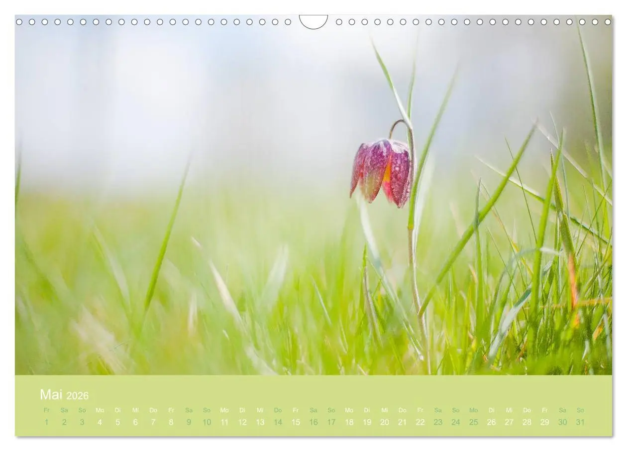 Bild: 9783516020441 | Zeitenwandel - Ein Jahr in der Natur (Wandkalender 2026 DIN A3...