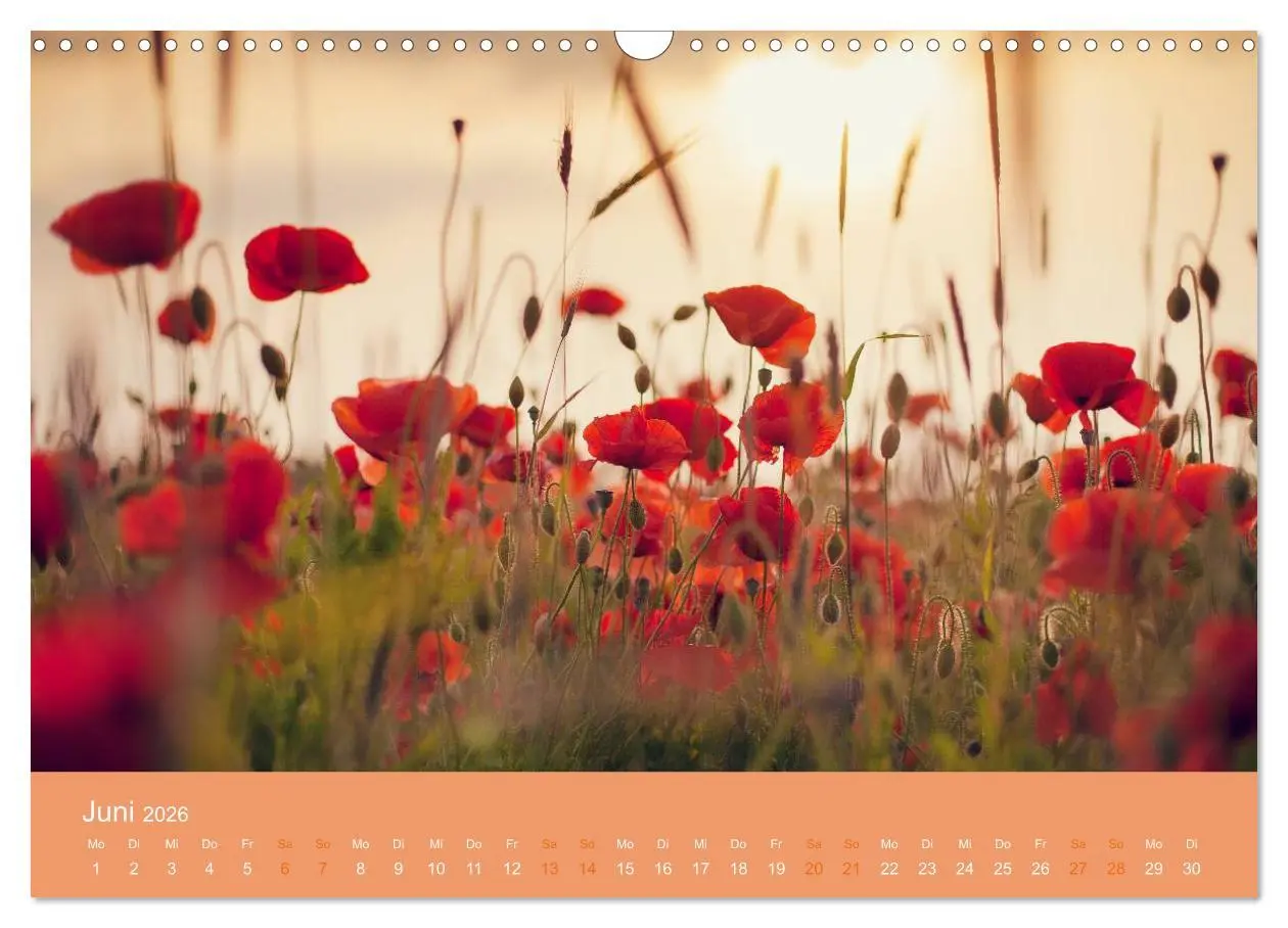 Bild: 9783516020441 | Zeitenwandel - Ein Jahr in der Natur (Wandkalender 2026 DIN A3...