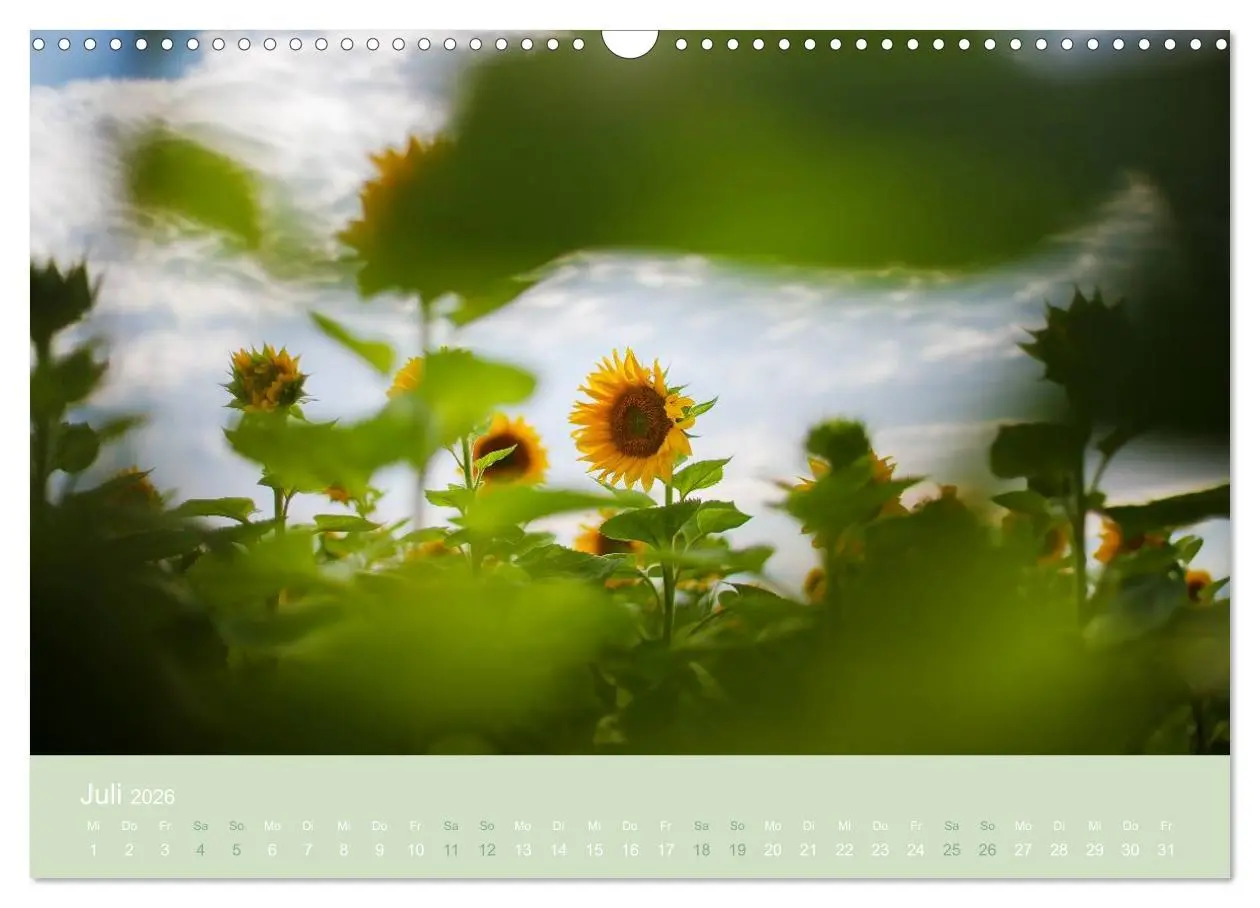 Bild: 9783516020441 | Zeitenwandel - Ein Jahr in der Natur (Wandkalender 2026 DIN A3...