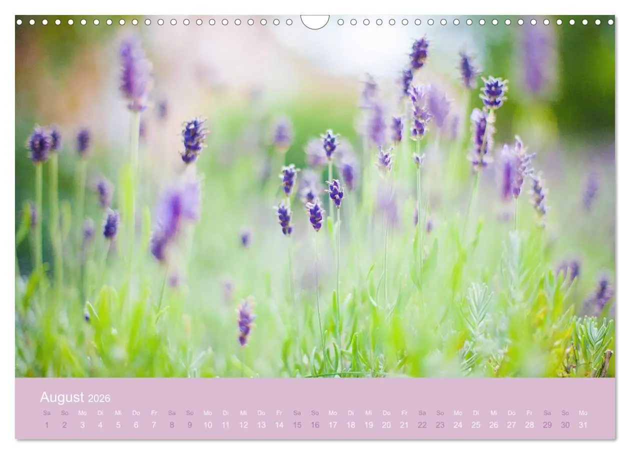 Bild: 9783516020441 | Zeitenwandel - Ein Jahr in der Natur (Wandkalender 2026 DIN A3...