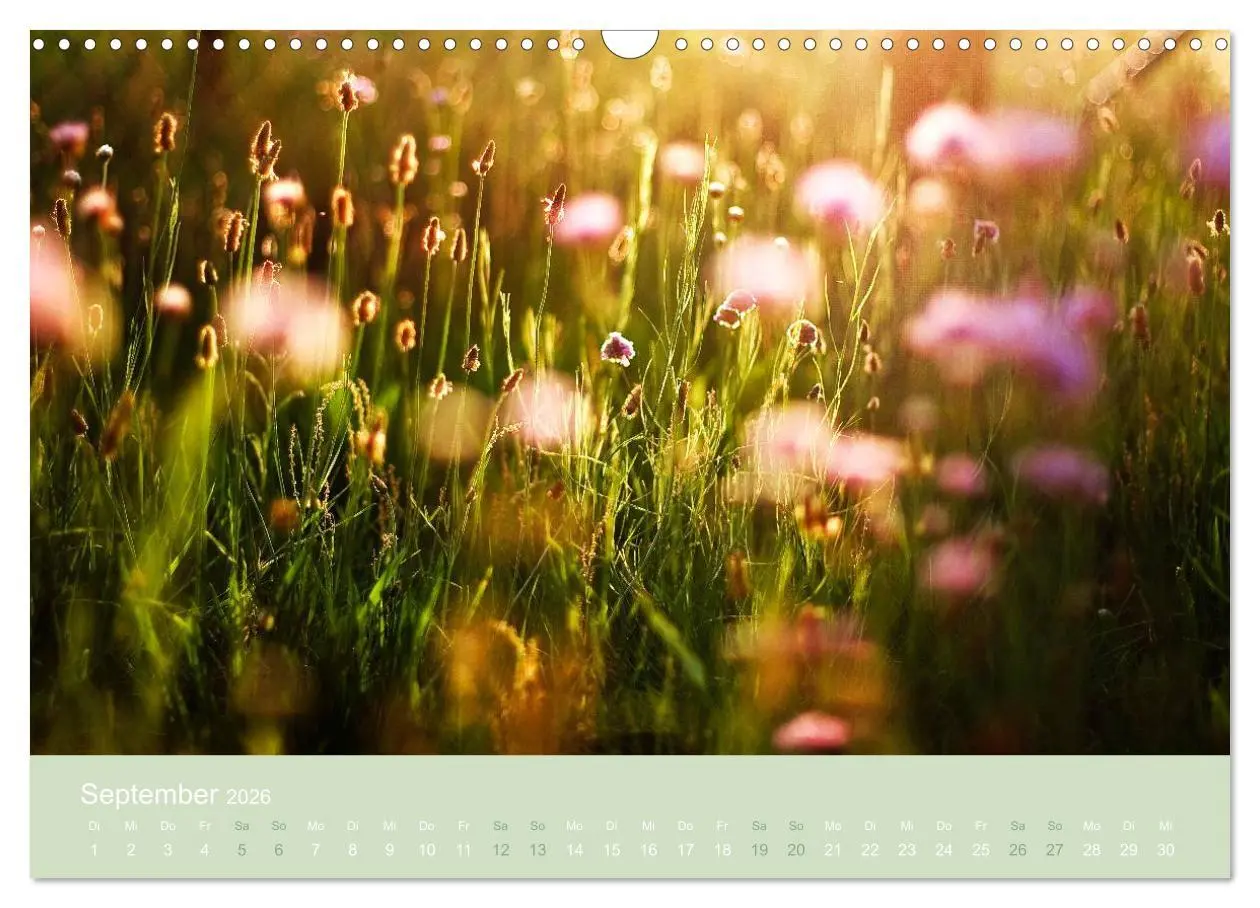 Bild: 9783516020441 | Zeitenwandel - Ein Jahr in der Natur (Wandkalender 2026 DIN A3...