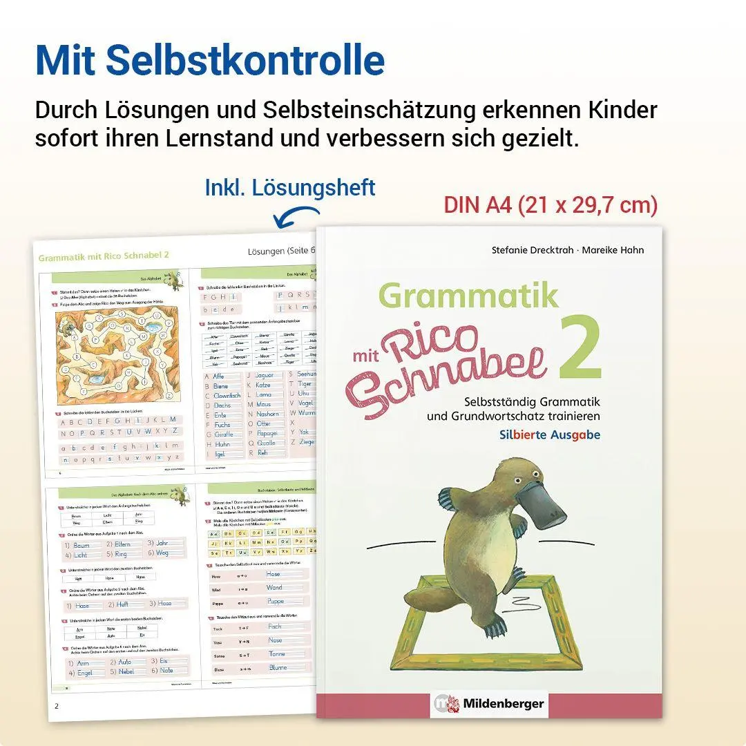 Bild: 9783619220441 | Grammatik mit Rico Schnabel, Klasse 2 - silbierte Ausgabe | Broschüre