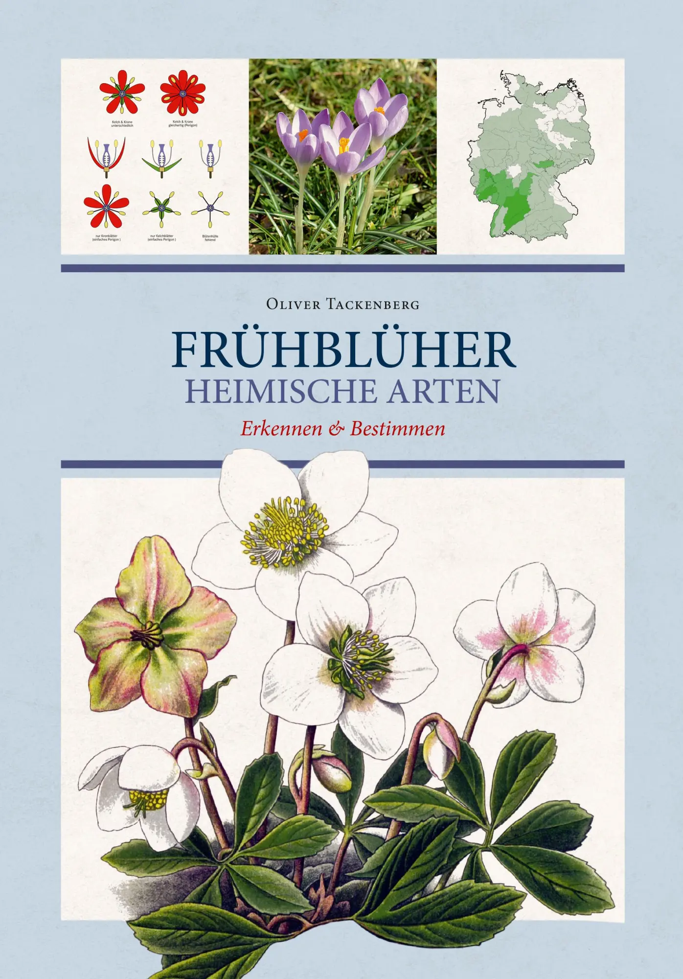 Cover: 9783968490441 | Frühblüher. Heimische Arten. | Frühlingsblumen bestimmen &amp; erkennen