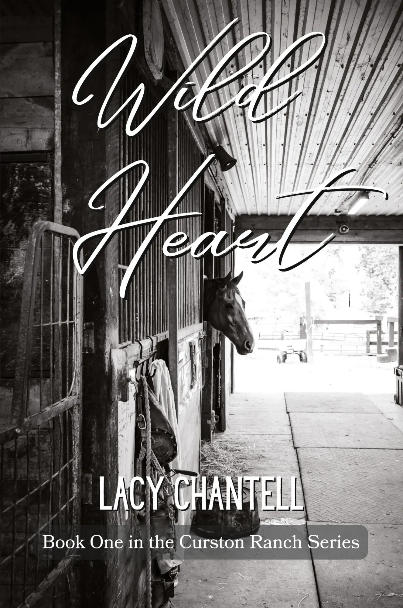 Cover: 9781088090541 | Wild Heart | A Cowboy Western Romance | Lacy Chantell | Taschenbuch