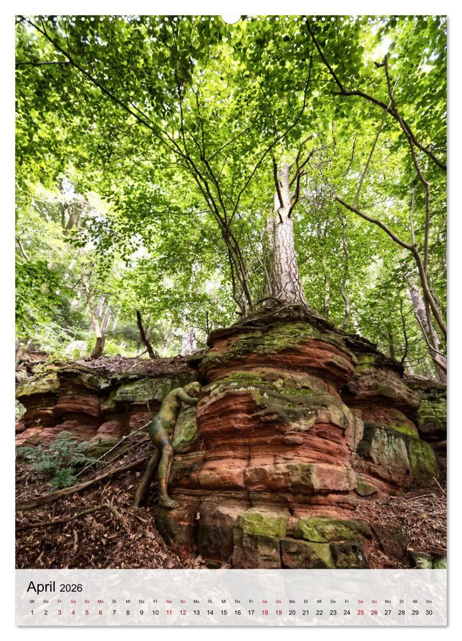 Bild: 9783516230741 | Angepasste Körper (hochwertiger Premium Wandkalender 2026 DIN A2...