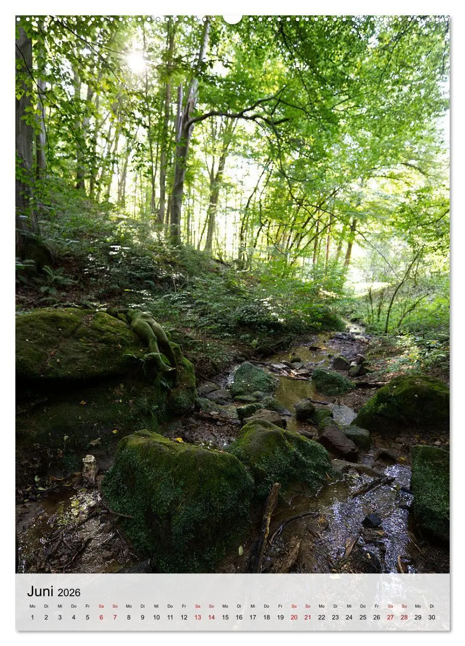 Bild: 9783516230741 | Angepasste Körper (hochwertiger Premium Wandkalender 2026 DIN A2...