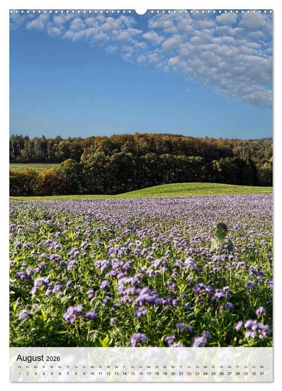 Bild: 9783516230741 | Angepasste Körper (hochwertiger Premium Wandkalender 2026 DIN A2...