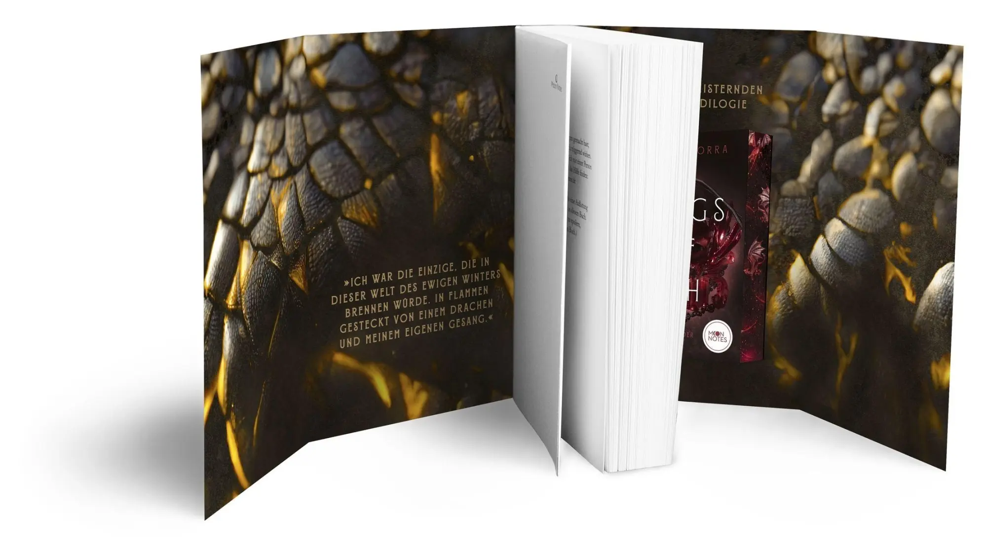 Bild: 9783969760741 | Wings of Ash 1. Schlafende Drachen | Jana Schikorra | Taschenbuch