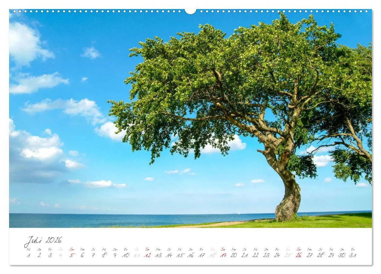 Bild: 9783516150841 | "Landarzt" - Plätze an Schlei und Ostsee (hochwertiger Premium...