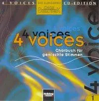 Cover: 9783850610841 | 4 Voices | Lorenz Maierhofer | Audio-CD | 10 CDs | Deutsch | 1999