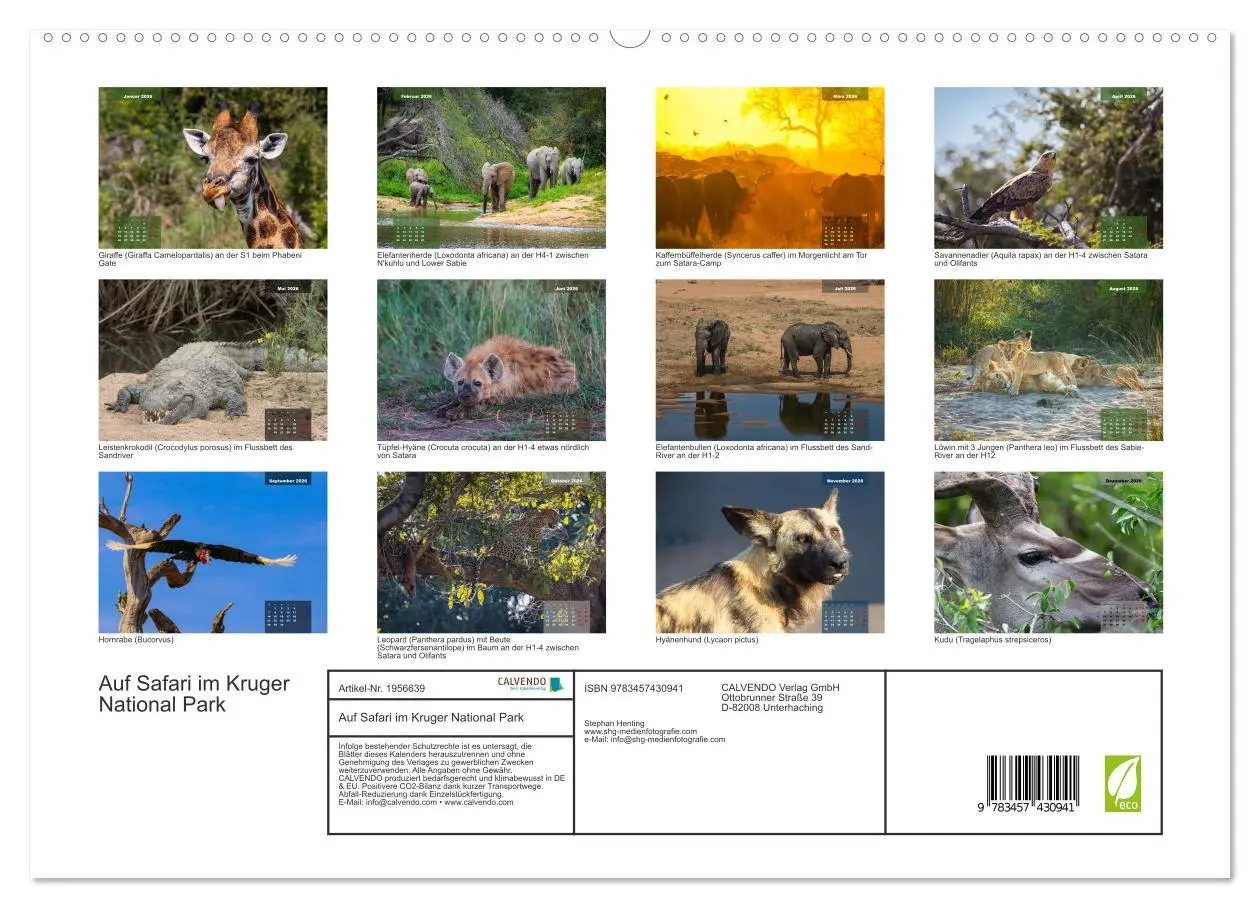 Bild: 9783457430941 | Auf Safari im Kruger National Park (hochwertiger Premium...