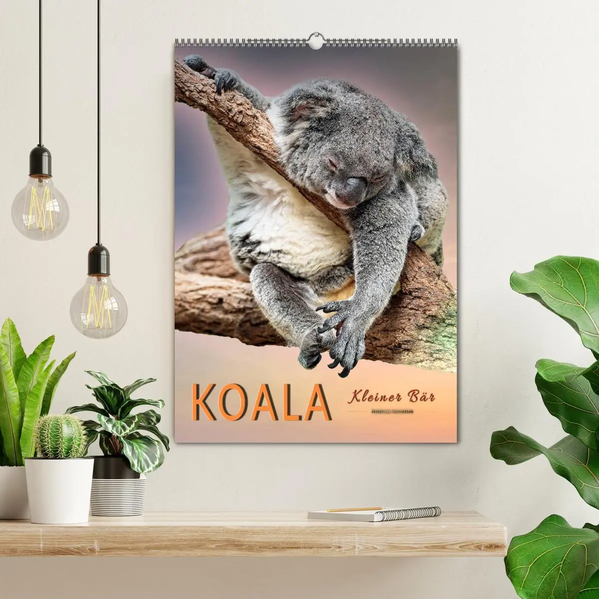 Bild: 9783516380941 | Koala, kleiner Bär (Wandkalender 2026 DIN A2 hoch), CALVENDO...
