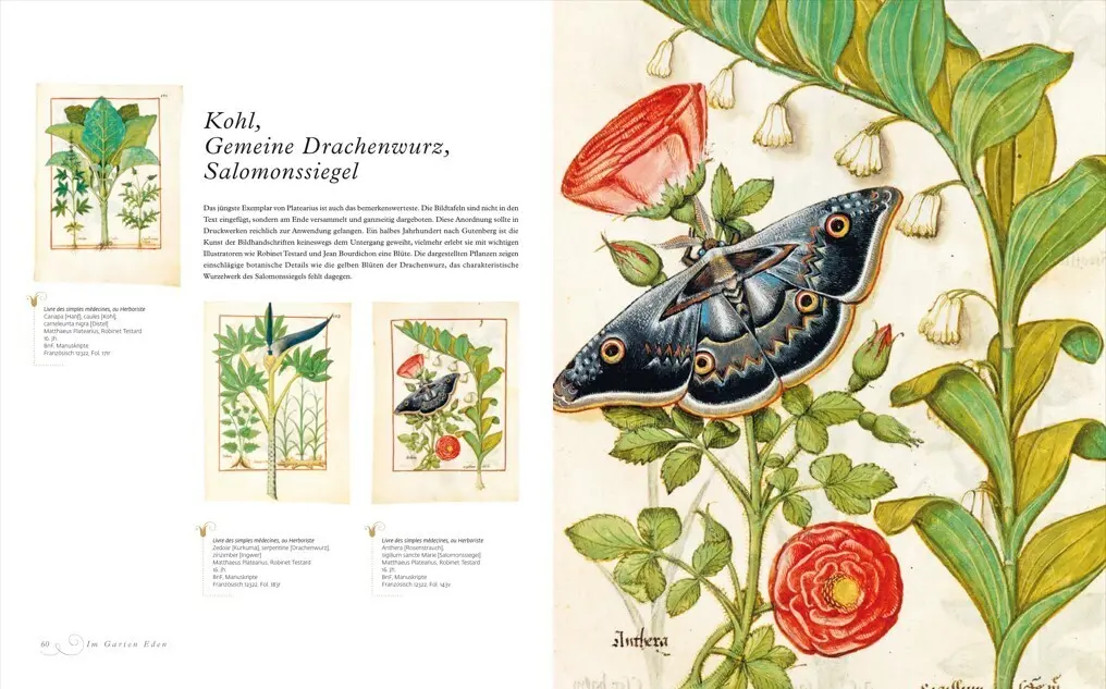 Bild: 9783534270941 | Im Garten Eden | Blumenträume aus 1000 Jahren | Luc Menapace (u. a.)