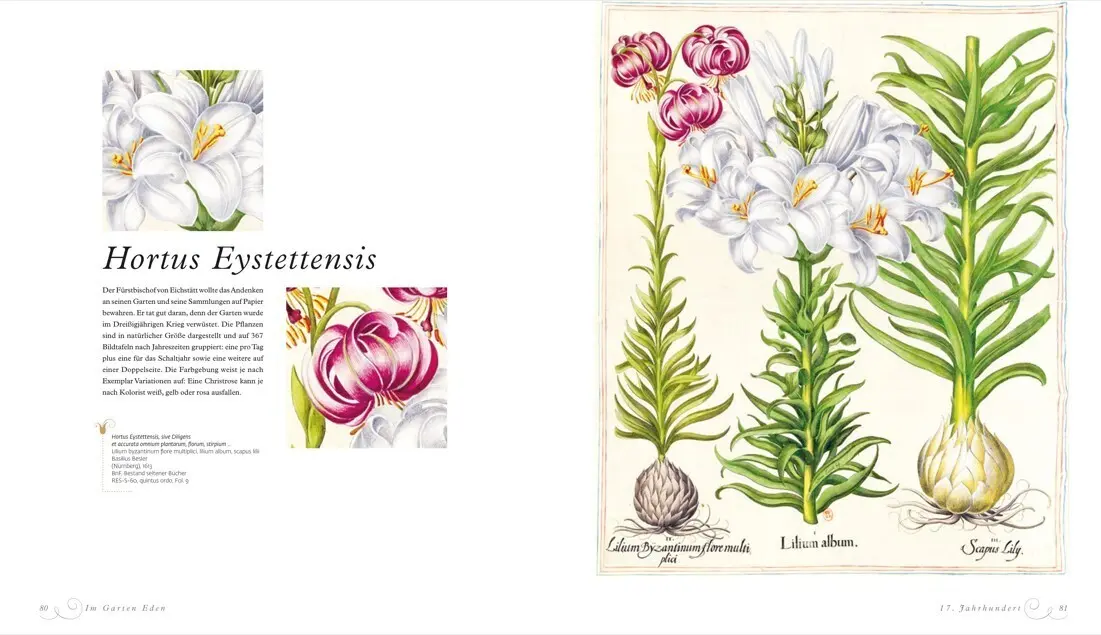 Bild: 9783534270941 | Im Garten Eden | Blumenträume aus 1000 Jahren | Luc Menapace (u. a.)