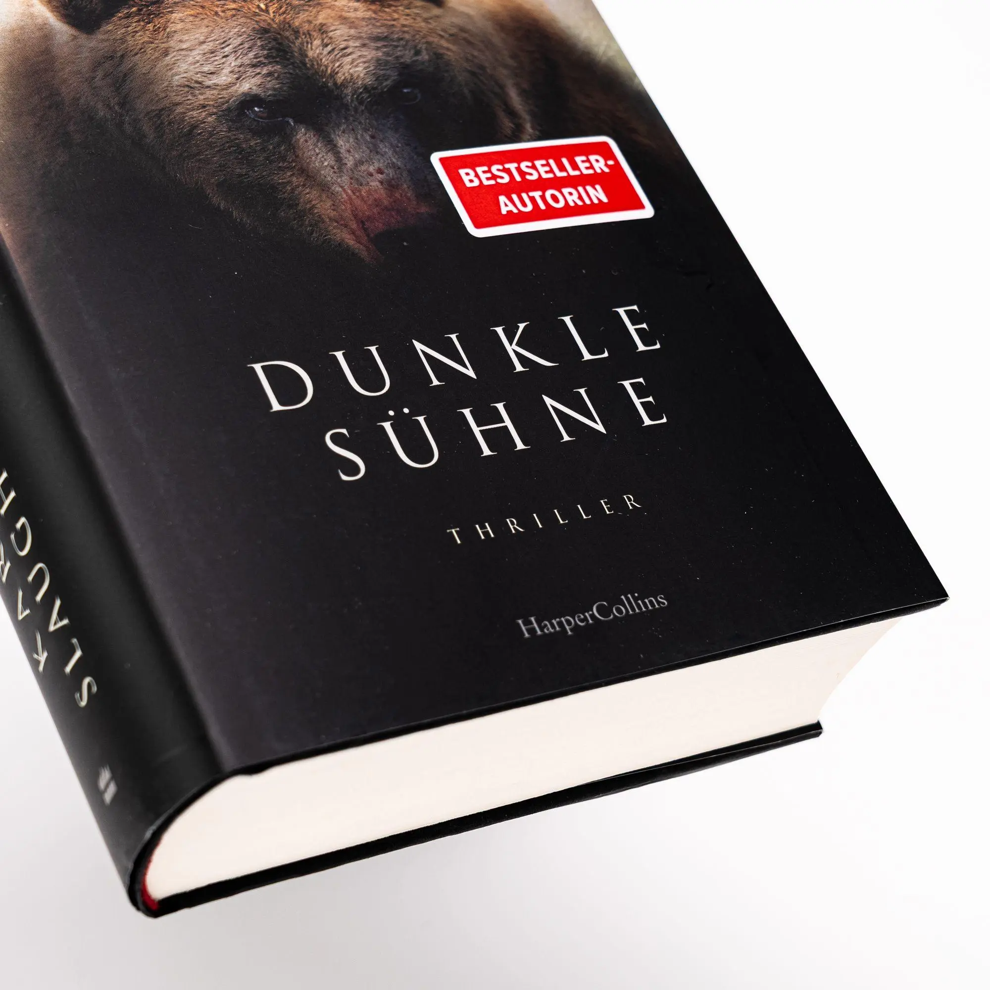 Bild: 9783365011041 | Dunkle Sühne | Karin Slaughter | Buch | North Falls | 560 S. | Deutsch