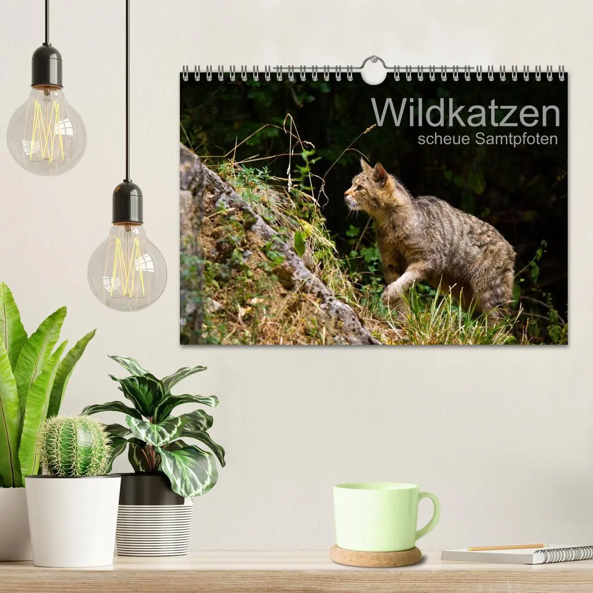 Bild: 9783457871041 | Wildkatzen - scheue Samtpfoten (Wandkalender 2026 DIN A4 quer),...