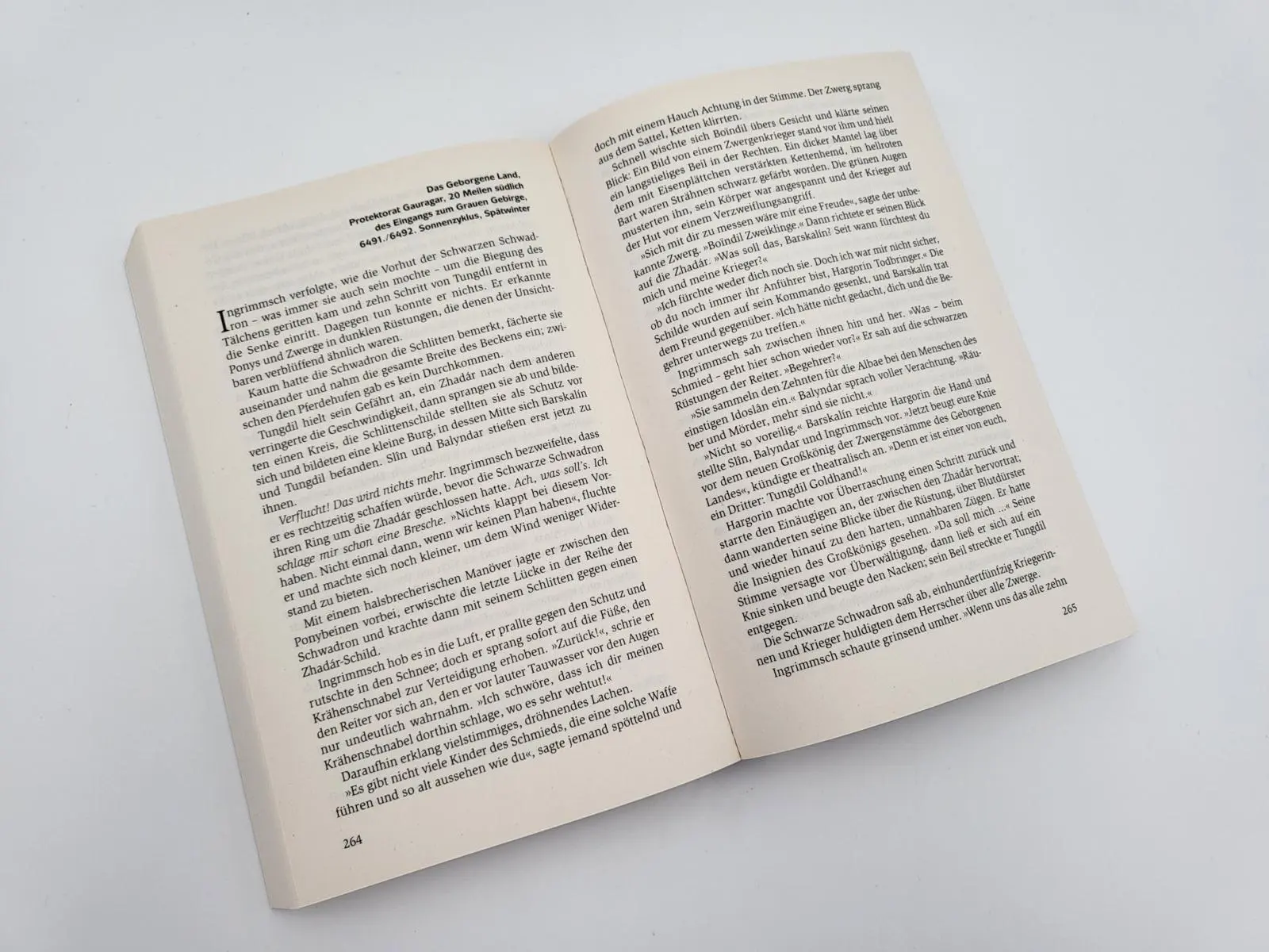Bild: 9783492281041 | Das Schicksal der Zwerge | Markus Heitz | Taschenbuch | Die Zwerge