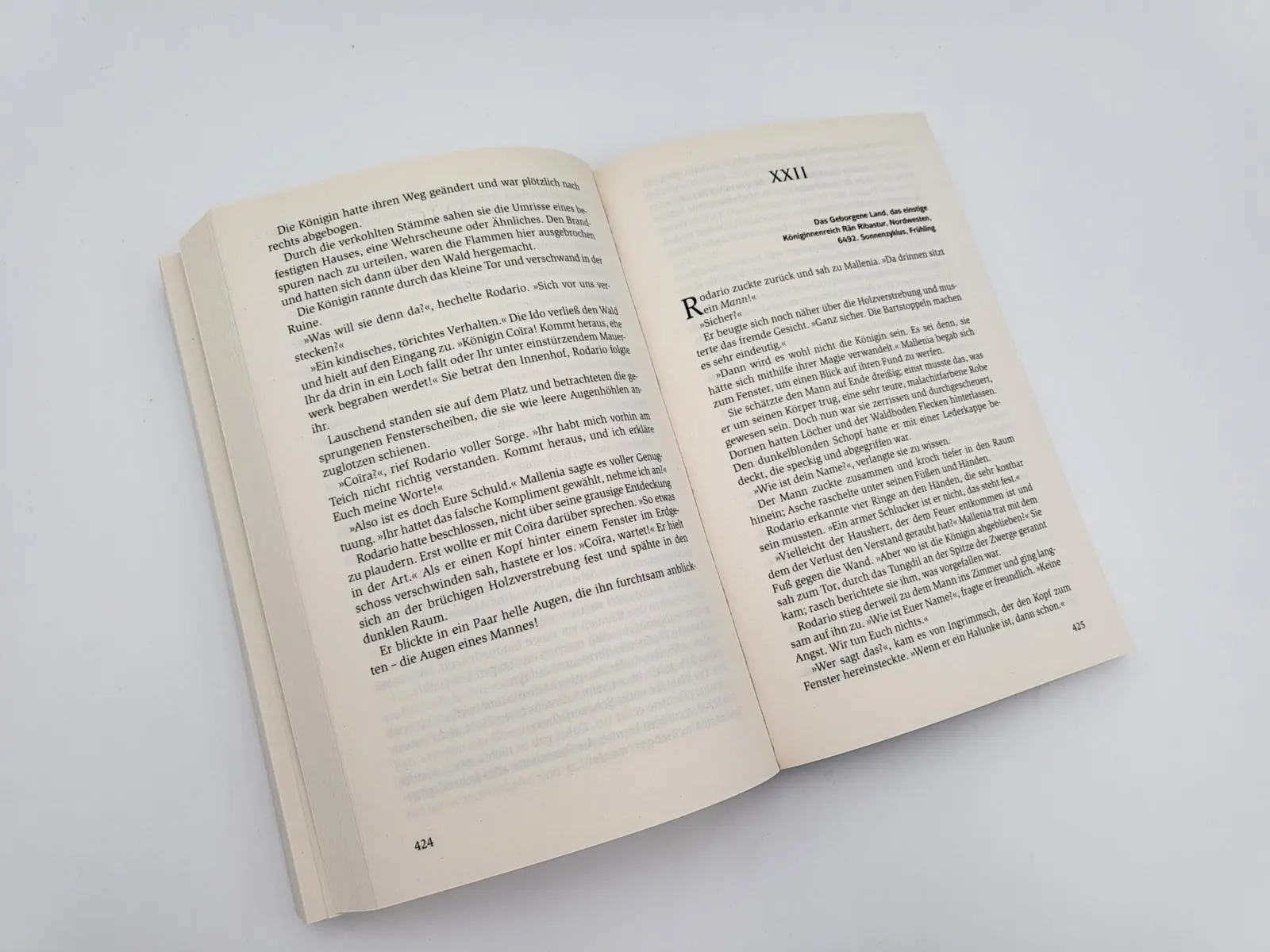 Bild: 9783492281041 | Das Schicksal der Zwerge | Markus Heitz | Taschenbuch | Die Zwerge