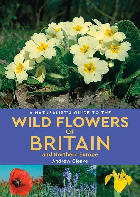 Cover: 9781912081141 | A Naturalist's Guide to the Wild Flowers of Britain and Northern...