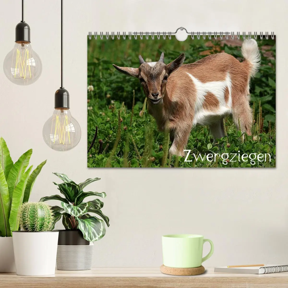Bild: 9783516191141 | Zwergziegen (Wandkalender 2026 DIN A4 quer), CALVENDO Monatskalender