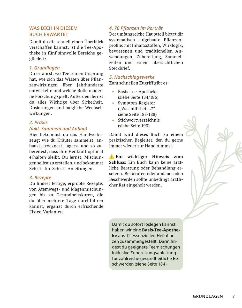 Bild: 9783910801141 | Die Tee-Apotheke | Axel Gutjahr | Taschenbuch | Kostbare Natur | 2026