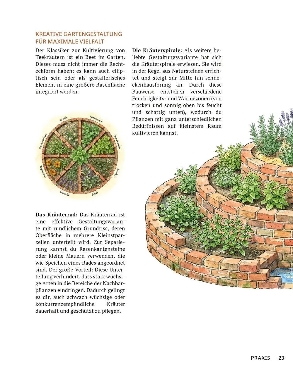 Bild: 9783910801141 | Die Tee-Apotheke | Axel Gutjahr | Taschenbuch | Kostbare Natur | 2026